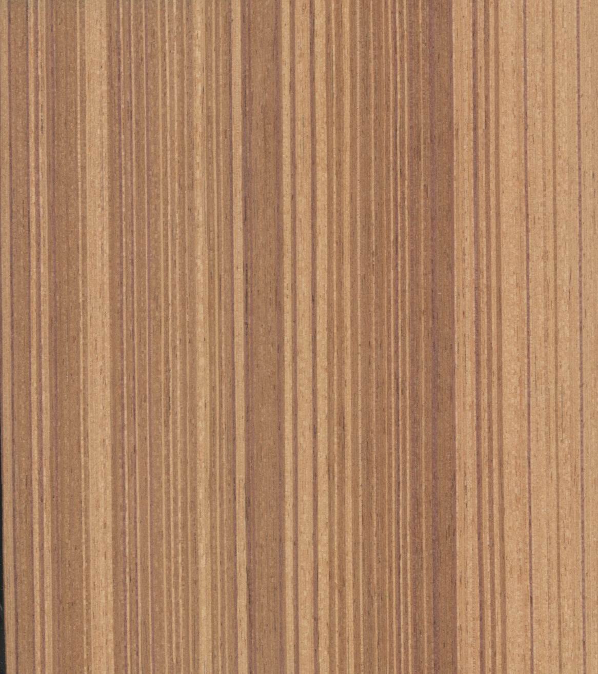 Teak 104