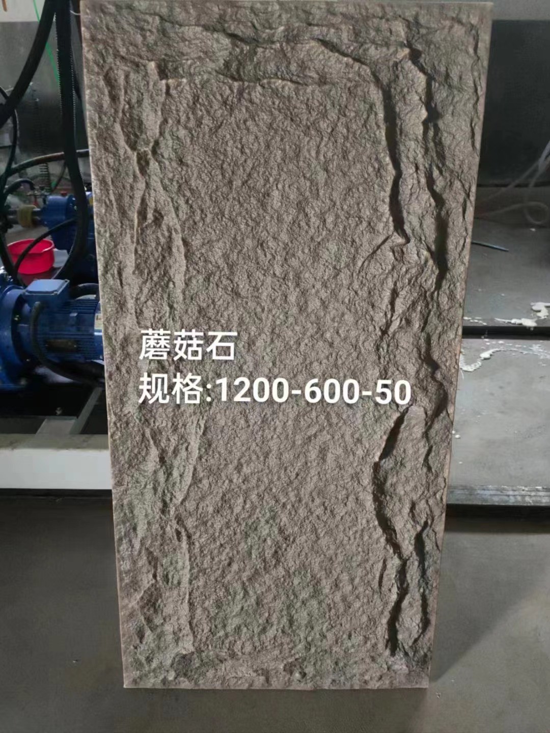 20240103113109 20240103113109